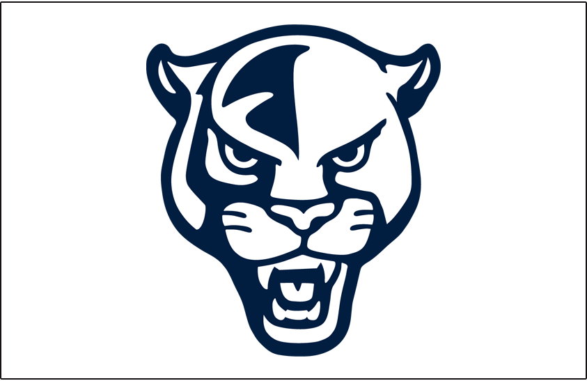 FIU Panthers 2022 Helmet Logo diy iron on heat transfer